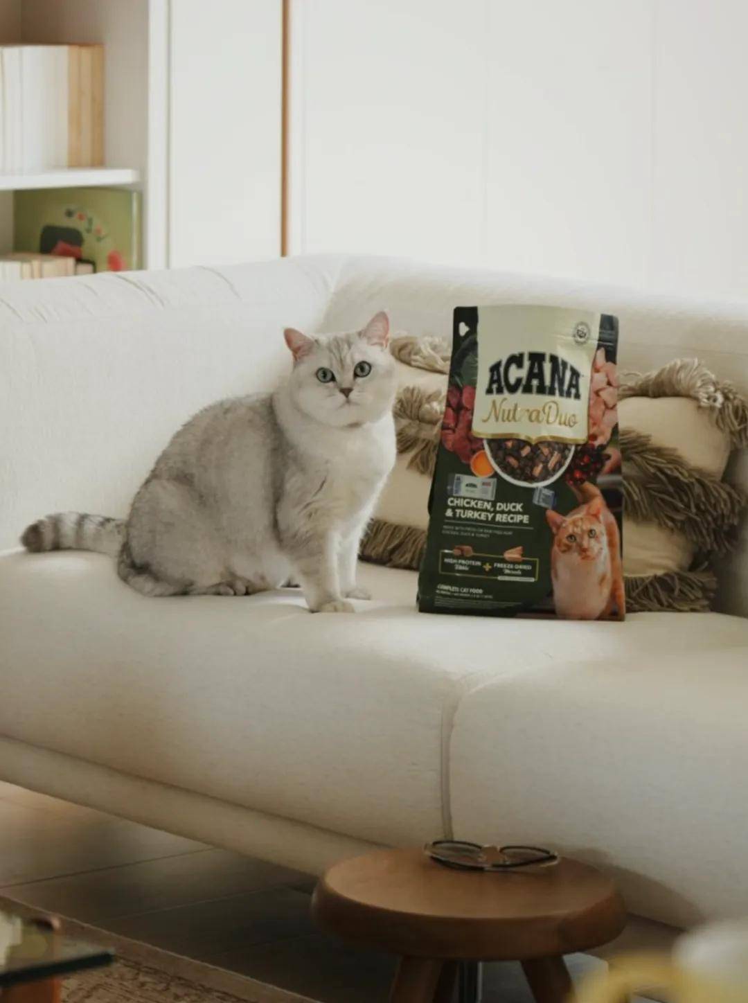 国上市高端宠粮加码“日常养护”开元棋牌爱肯拿双拼倍护宠粮中(图3)