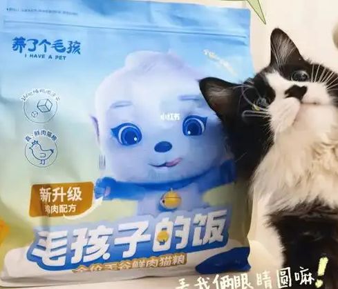 粮！三只松鼠靠什么重返宠物食品赛道开元棋牌app零食巨头盯上毛孩子口