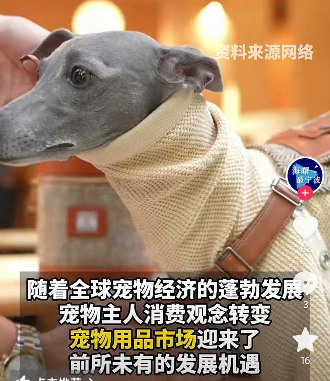 是婴幼儿奶粉2倍！网友：活的猫狗还不如开元棋牌app猫狗一年消费3000亿(图3)