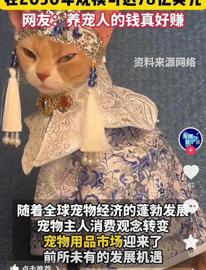 是婴幼儿奶粉2倍！网友：活的猫狗还不如开元棋牌app猫狗一年消费3000亿(图2)