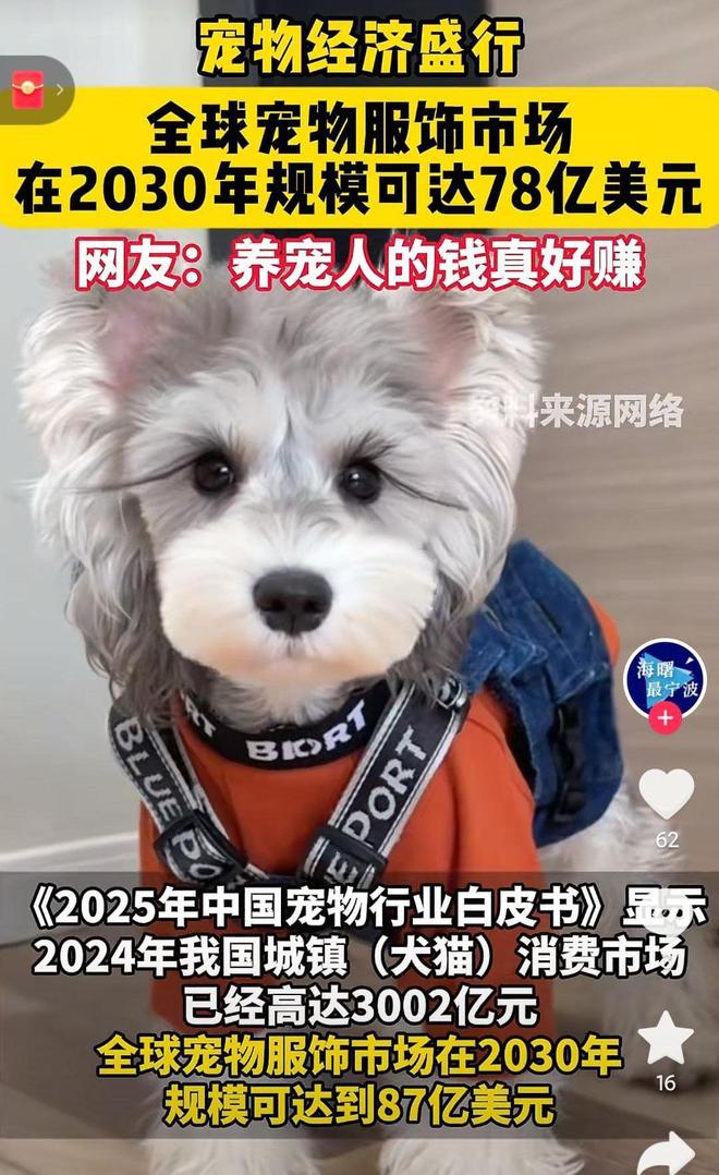 是婴幼儿奶粉2倍！网友：活的猫狗还不如开元棋牌app猫狗一年消费3000亿(图4)